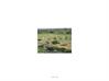 Residential Land for Sale in Telangana